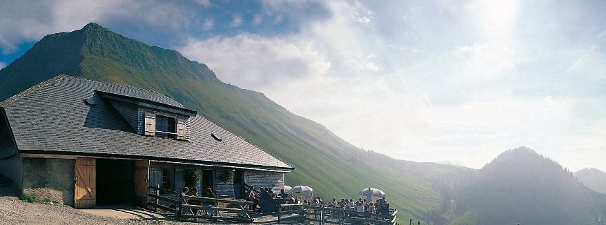 Buvettes Dalpage De Suisse Romande